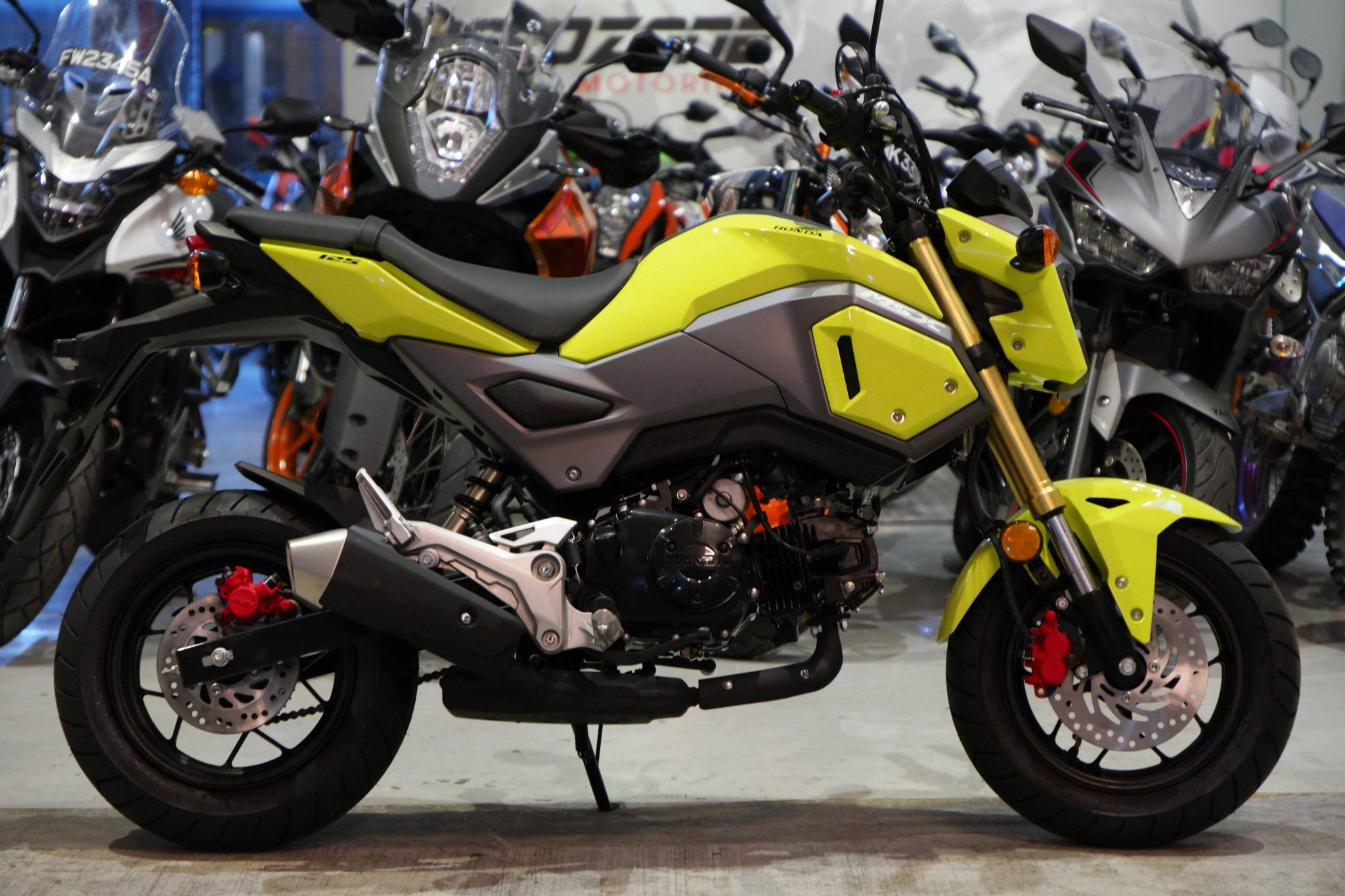 2016-Honda-MSX-125_1.jpg